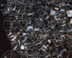 Foam patterns in nature