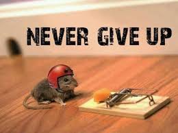 Gagnamite: Motivation: Never Give Up Keep Trying via Relatably.com