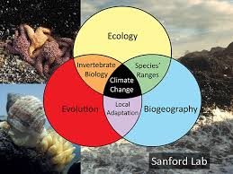 Image result for organisms and their environment