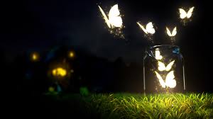 Image result for animated butterflies wallpaper