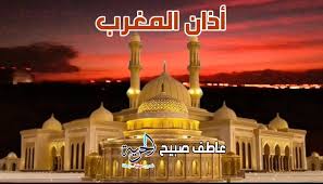 شبكة تواصل الإخبارية - News update