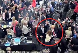 Image result for michelle fields touches trump