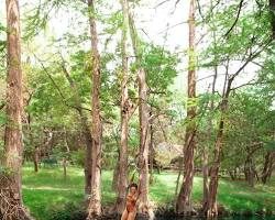 Image of Wimberley, Texas