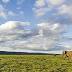 Your DIY African Safari (for under $75 a Day)