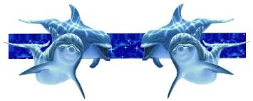 R&eacute;sultat de recherche d'images pour "banni&egrave;res de s&eacute;paration gif d'&eacute;t&eacute;"