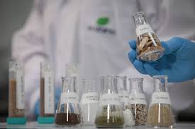 Suzano (SUZB3) conclui recompra de 14,8 milhões de ações