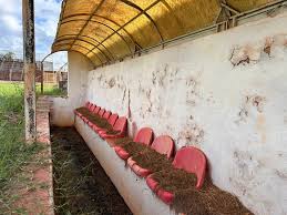 Estádio agoniza no interior de SP depois de clube mudar de cidade e trocar até de nome
