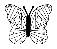 Résultat de recherche d'images pour "iris folding templates"