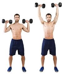 Image result for shoulder press