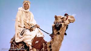 Image result for Peter O'Toole Lawrence of Arabia