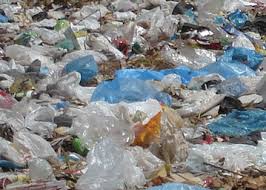 Image result for Vice Chancellor of University of Ghana appointed member of UN University Governing Council