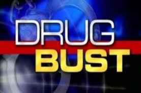 Image result for drug arrest