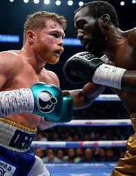 Boxing News 24 - News update