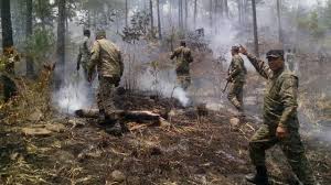 Resultado de imagen para incendios en restauracion republica dominicana