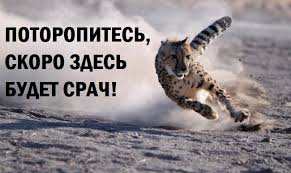 images?q=tbn:ANd9GcSOOLRrbkJ0X8NCiRIQ2ydXGxL1c-dASrpHj6kbpvkazuNjdcYE