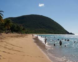 Image de Grande Anse beach, Guadeloupe