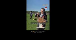 NETVASCO - News update