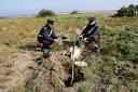 Distribuzione noleggio georadar metal detector nuovi e usati