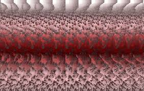 Résultat de recherche d'images pour "magic eye"