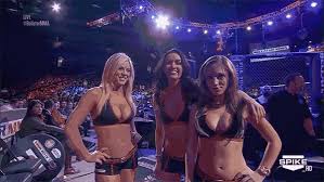 Resultado de imagem para ring girls bellator