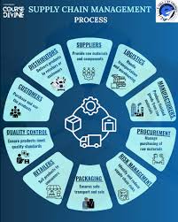 🚀 WHY CHOOSE COURSE DIVINE FOR SUPPLY CHAIN MANAGEMENT ...
