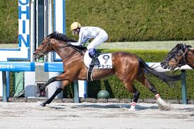 News source: Yahoo!ニュース