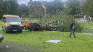 Sveriges Radio - News update