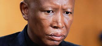 What’s Next After Julius Malema’s Sentencing and EFF’s Complaint Against Joel Cesar?