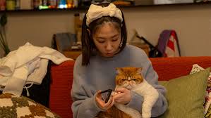 土ドラ特別企画・元カレの猫を、預かりまして。【もふもふラブコメディ】 ＃01