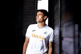 Swansea City - News update