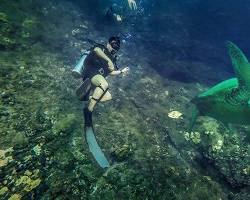 Gambar snorkeling or scuba diving in Kauai
