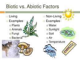 Image result for How do biotic and abiotic factors affect crop production?