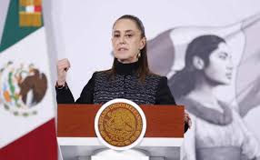 Sheinbaum: Salinas Pliego ya acudió al SAT a manifestar 