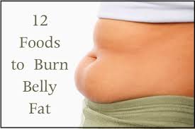 Image result for belly fat