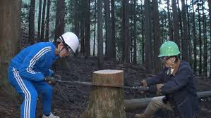新宿の屋上にもう一度ニホンミツバチを！松島＆篠塚が大奮闘 DASH村では26年目の米作り！城島が夢見る壮大なプランを発表