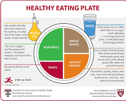 Balanced diet plateの画像