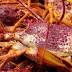 Lobster industry shake-up predicted after Tasmanians find 'holy grail ...