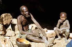 Image result for dogon people
