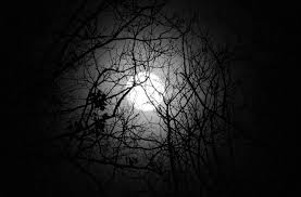 Image result for moon