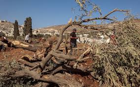 The Times of Israel - News update