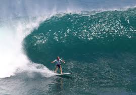 Résultat de recherche d'images pour "surfing, The New Yorker"