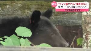 Yahoo!ニュース - News update