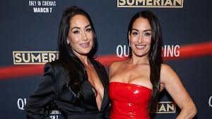 Nikki Garcia Gives Update on Brie After SummerSlam Injury & Hospitalization