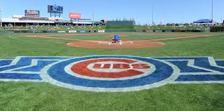 Chicago Cubs Trade Pitching Prospect Nico Zeglin to the Astros