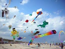 Image result for kites