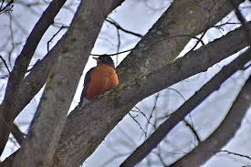 Good morning, Innisfil! Here's today's weather!