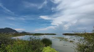 Semanario Laguna - News update