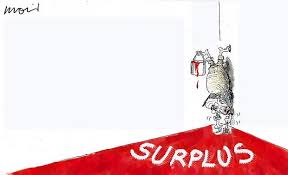 Image result for swan budget surplus
