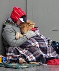 a dog is the closest thing we have to unconditional love in ...