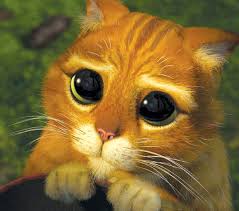 Resultado de imagem para gatinho do shrek  pra pedidos de desculpas